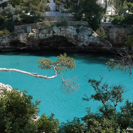 Отель Playa Ferrera 3*